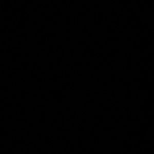 Meet your Posher, Wayne